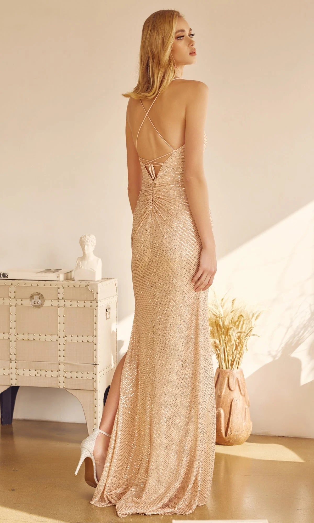 Juliet Long Formal Dress 273