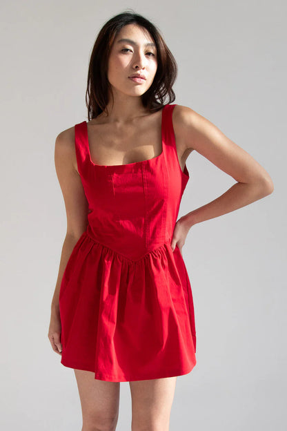 Fitted Bodice Mini Dress