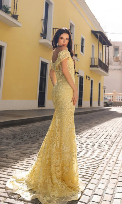 Nox Anabel Long Formal Dress c1455