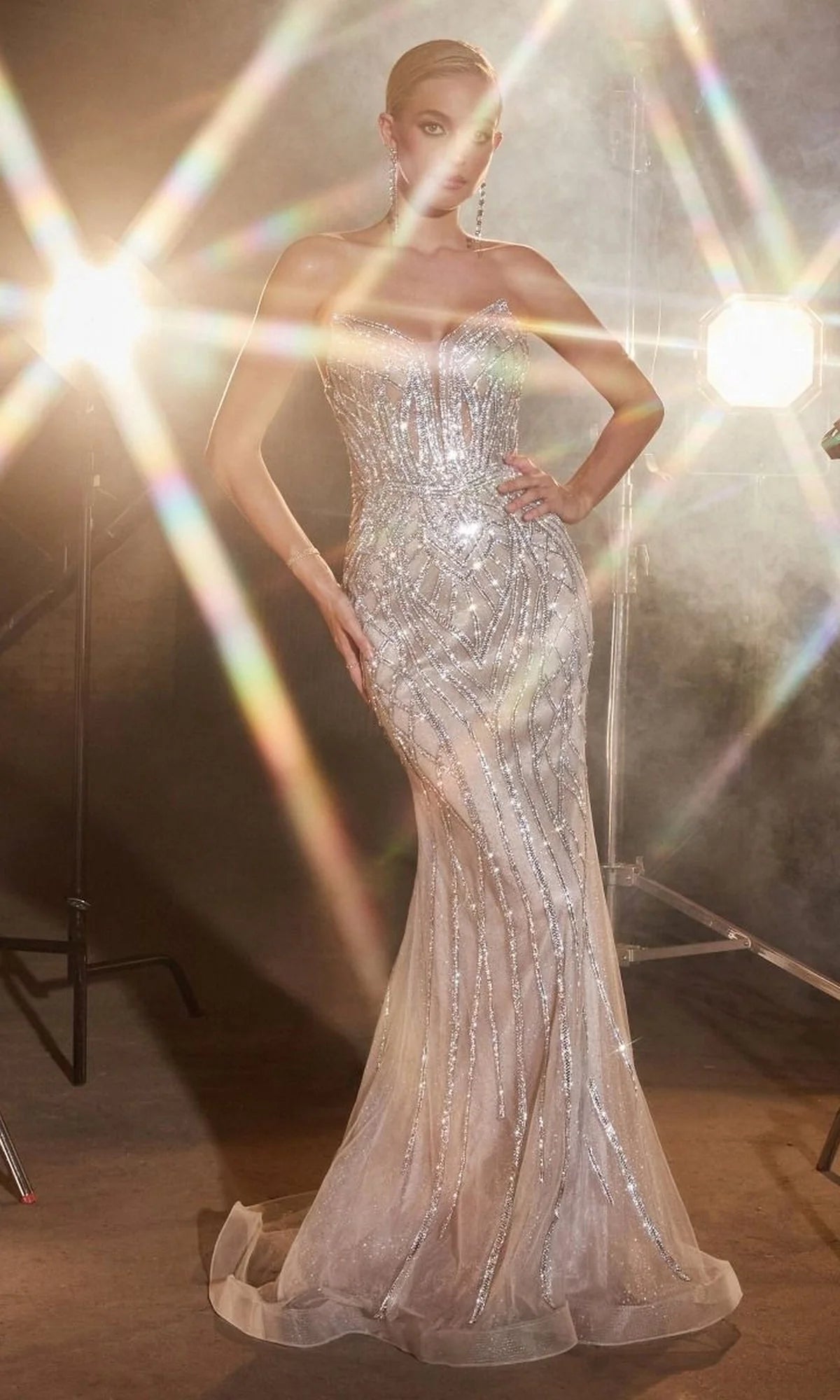Formal Long Dress CC6018 By Ladivine