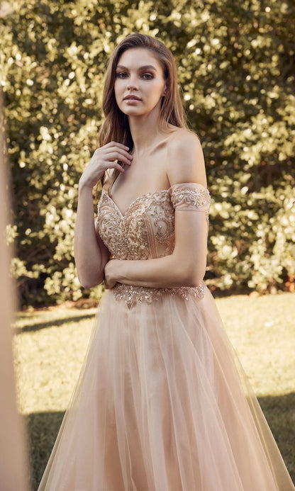 Juliet Long Formal Dress 287