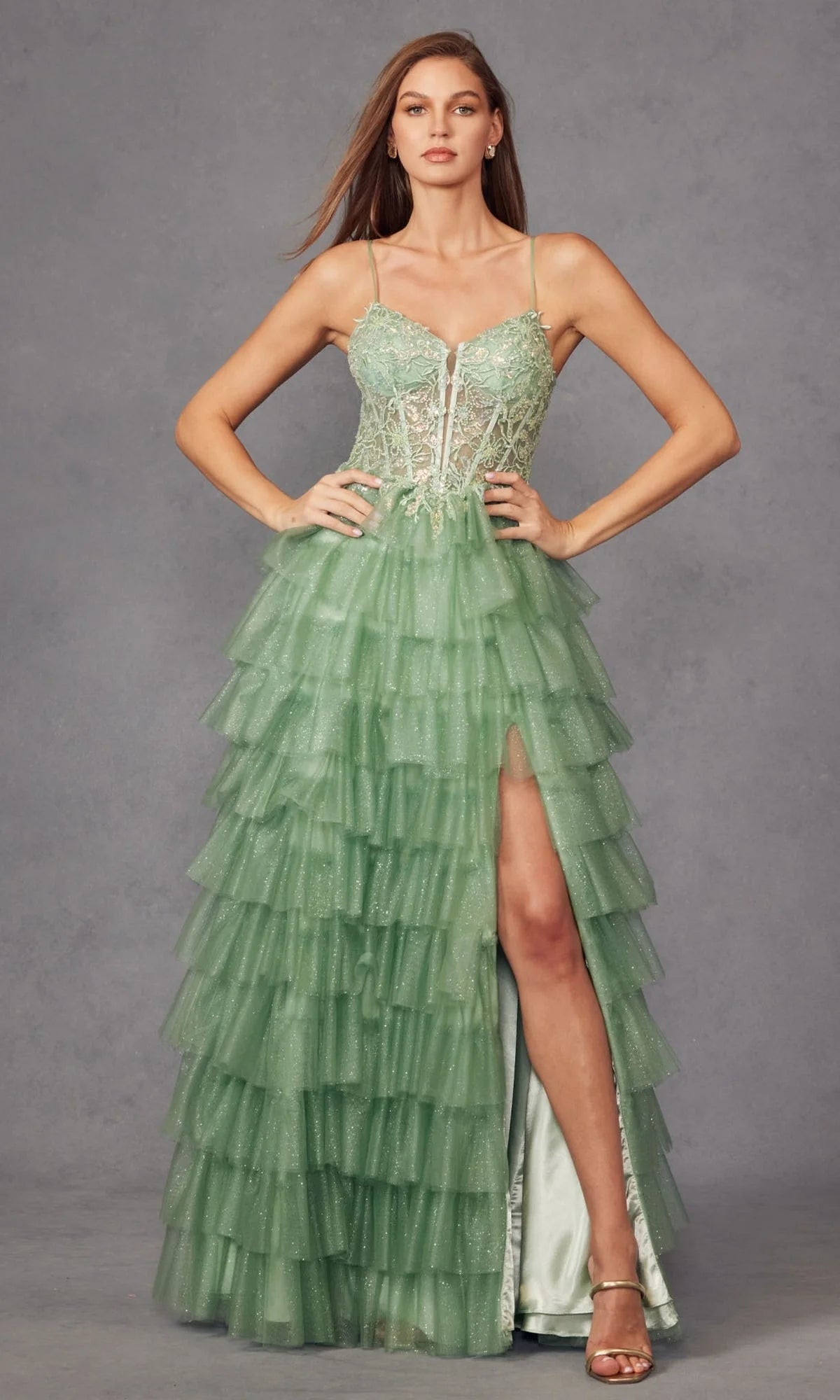 Juliet Long Formal Dress jt2458a