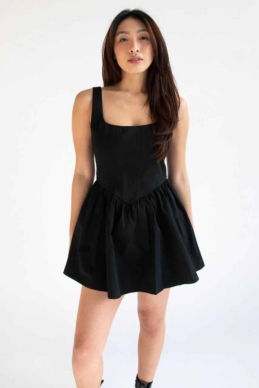 Fitted Bodice Mini Dress